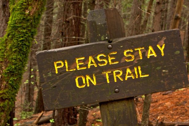 14-basic-hiking-etiquette-rules-every-grown-ass-adult-needs-to-know